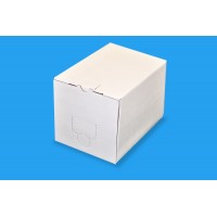5 LITRE PLAIN WHITE BOX